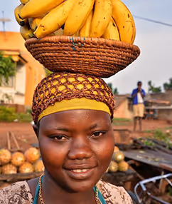 Portfolio Image